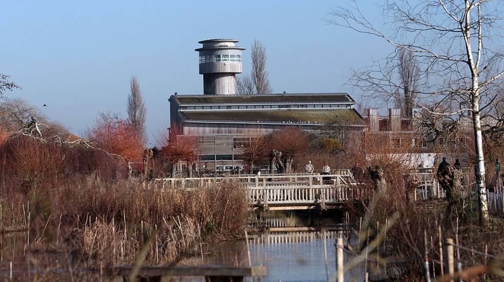 WWT Slimbridge cafe and centre